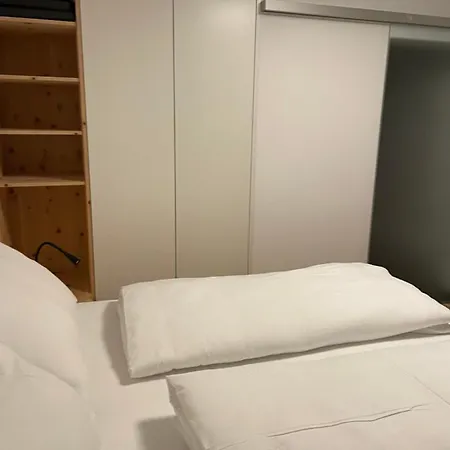 Planai Eishoehle Lejlighed Schladming